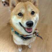 ヒメ日記 2025/09/11 23:04 投稿 あんず 池袋おかあさん