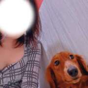 ヒメ日記 2025/10/12 17:24 投稿 あんず 池袋おかあさん