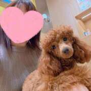 ヒメ日記 2025/10/17 13:24 投稿 あんず 池袋おかあさん