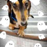 ヒメ日記 2025/10/17 22:34 投稿 あんず 池袋おかあさん