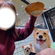 ヒメ日記 2025/10/19 11:44 投稿 あんず 池袋おかあさん