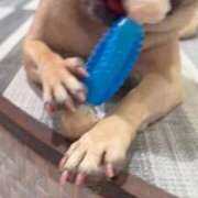 ヒメ日記 2025/10/19 13:24 投稿 あんず 池袋おかあさん