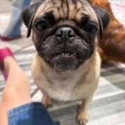 ヒメ日記 2025/10/21 19:08 投稿 あんず 池袋おかあさん