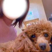 ヒメ日記 2025/11/24 18:37 投稿 あんず 池袋おかあさん