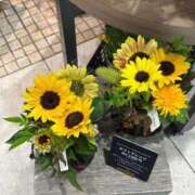 ヒメ日記 2025/08/02 00:50 投稿 あんず 新宿・新大久保おかあさん