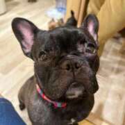 ヒメ日記 2025/08/28 19:20 投稿 あんず 新宿・新大久保おかあさん