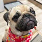 ヒメ日記 2025/08/29 20:50 投稿 あんず 新宿・新大久保おかあさん