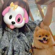 ヒメ日記 2025/09/11 00:20 投稿 あんず 新宿・新大久保おかあさん