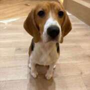 ヒメ日記 2025/09/29 13:50 投稿 あんず 新宿・新大久保おかあさん