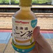 ヒメ日記 2025/08/03 12:23 投稿 あんず 吉祥寺おかあさん