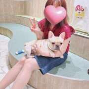 ヒメ日記 2025/08/16 11:42 投稿 あんず 吉祥寺おかあさん