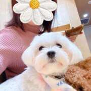 あんず 本日予定通り出勤します♬.*ﾟ 吉祥寺おかあさん