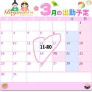 ヒメ日記 2026/03/06 22:11 投稿 みと ビギナーズ和歌山