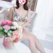 ヒメ日記 2026/04/13 16:21 投稿 みと ビギナーズ和歌山