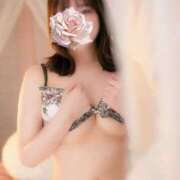 ヒメ日記 2026/04/16 07:41 投稿 みと ビギナーズ和歌山