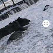 ヒメ日記 2025/07/30 14:24 投稿 山田 鶯谷デッドボール