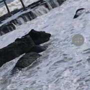 ヒメ日記 2025/08/11 07:29 投稿 山田 鶯谷デッドボール