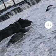 ヒメ日記 2025/08/27 07:42 投稿 山田 鶯谷デッドボール