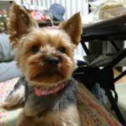 ヒメ日記 2025/09/22 14:39 投稿 山田 鶯谷デッドボール