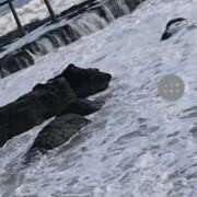 ヒメ日記 2025/10/09 20:39 投稿 山田 鶯谷デッドボール