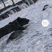 ヒメ日記 2025/10/12 21:49 投稿 山田 鶯谷デッドボール