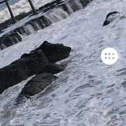 ヒメ日記 2025/10/20 11:14 投稿 山田 鶯谷デッドボール