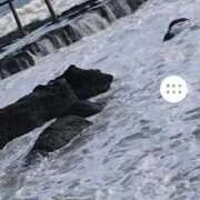 ヒメ日記 2025/10/23 12:49 投稿 山田 鶯谷デッドボール