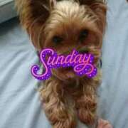 山田 おはようございます 鶯谷デッドボール