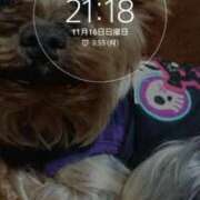 山田 おはようございます 鶯谷デッドボール