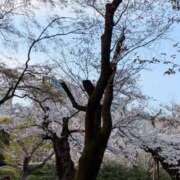 山田 おはようございます 鶯谷デッドボール