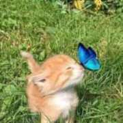 ヒメ日記 2025/09/28 12:56 投稿 堀原かなこ 五十路マダム愛されたい熟女たち 福山店(カサブランカグループ)