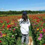 ヒメ日記 2025/07/31 09:29 投稿 めぐみ 池袋おかあさん