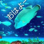 ヒメ日記 2025/08/31 09:04 投稿 めぐみ 池袋おかあさん