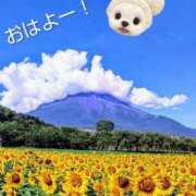 ヒメ日記 2025/09/06 11:44 投稿 めぐみ 池袋おかあさん