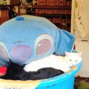 ヒメ日記 2025/09/13 09:54 投稿 めぐみ 池袋おかあさん