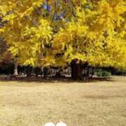 ヒメ日記 2025/10/19 11:04 投稿 めぐみ 池袋おかあさん