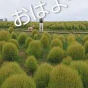 ヒメ日記 2025/10/20 10:54 投稿 めぐみ 池袋おかあさん