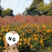 ヒメ日記 2025/10/28 09:54 投稿 めぐみ 池袋おかあさん