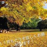 ヒメ日記 2025/11/02 10:15 投稿 めぐみ 池袋おかあさん