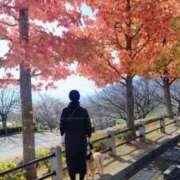 ヒメ日記 2025/11/08 09:59 投稿 めぐみ 池袋おかあさん