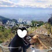 ヒメ日記 2025/11/11 12:49 投稿 めぐみ 池袋おかあさん