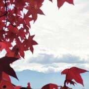 ヒメ日記 2025/11/14 11:24 投稿 めぐみ 池袋おかあさん