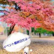 ヒメ日記 2025/11/16 09:54 投稿 めぐみ 池袋おかあさん