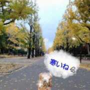 ヒメ日記 2025/11/19 10:20 投稿 めぐみ 池袋おかあさん