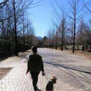 ヒメ日記 2025/11/23 09:56 投稿 めぐみ 池袋おかあさん