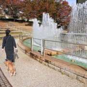 ヒメ日記 2025/11/30 09:04 投稿 めぐみ 池袋おかあさん