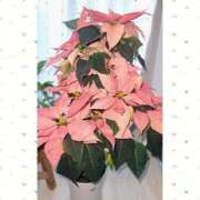 ヒメ日記 2025/12/06 08:14 投稿 めぐみ 池袋おかあさん