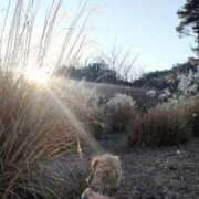 めぐみ 北風ピューピュー💦 池袋おかあさん