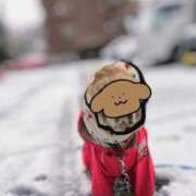 ヒメ日記 2026/01/11 09:37 投稿 めぐみ 池袋おかあさん