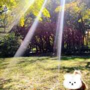 ヒメ日記 2026/01/25 09:14 投稿 めぐみ 池袋おかあさん